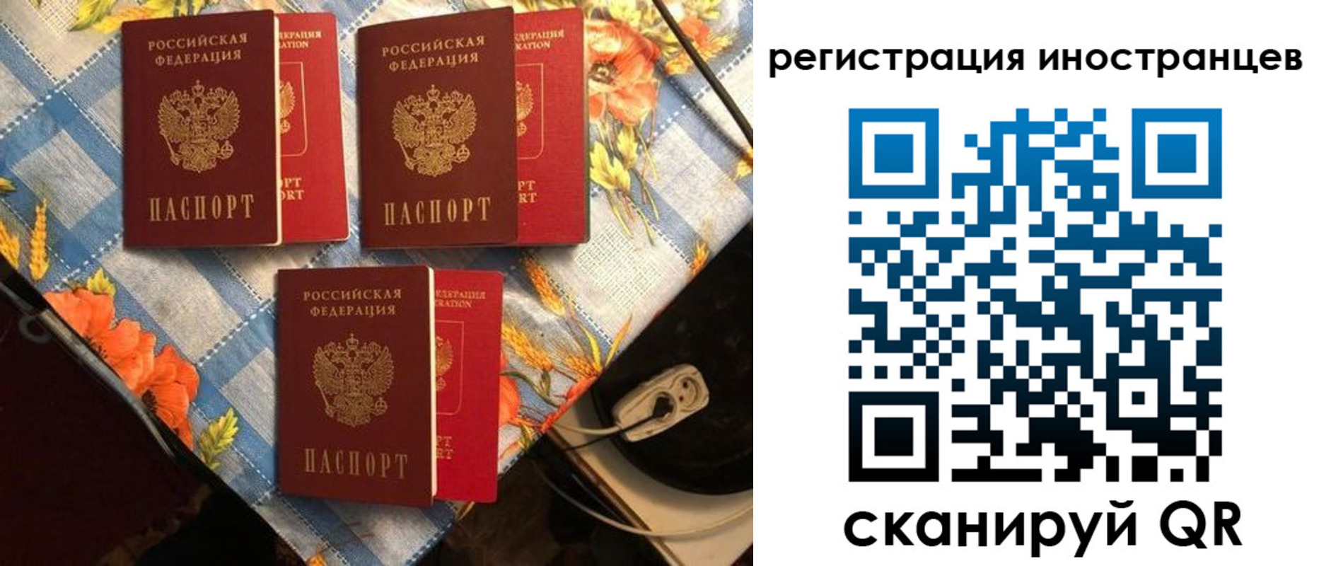 прописка поиск в Новоалександровске